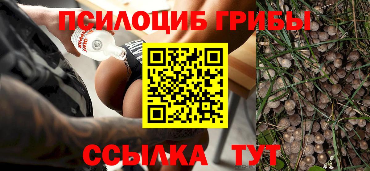 Псилоцибиновые грибы MAGIC MUSHROOMS Лабытнанги